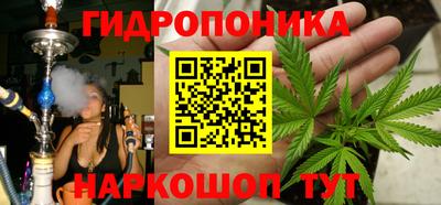 кокс Кинель