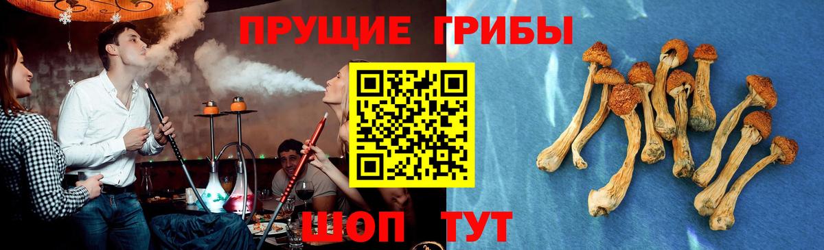Псилоцибиновые грибы GOLDEN TEACHER  Вход с VPN  Кострома 